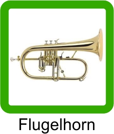 Flugelhorn